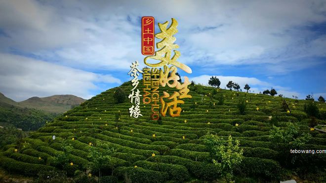 茶乡情缘-乡土中国美好生活