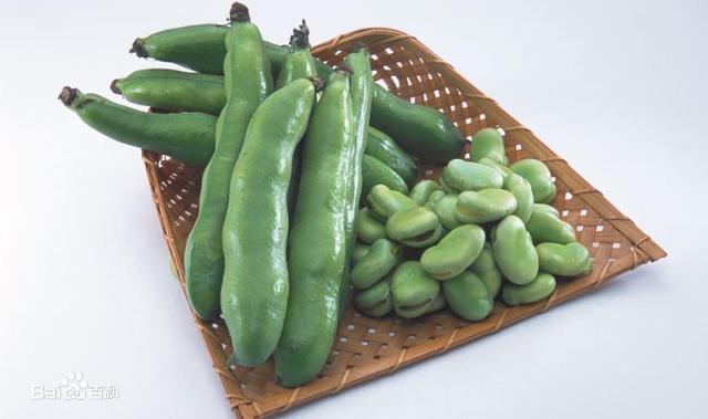 蚕豆是世界上第三大重要的冬季食用豆作物。蚕豆营养价值较高，其蛋白质含量为25%-35%。蚕豆还富含糖、矿物质、维他命、钙和铁。