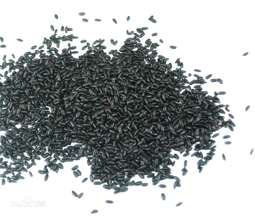 黑米是一种药、食兼用的大米，
