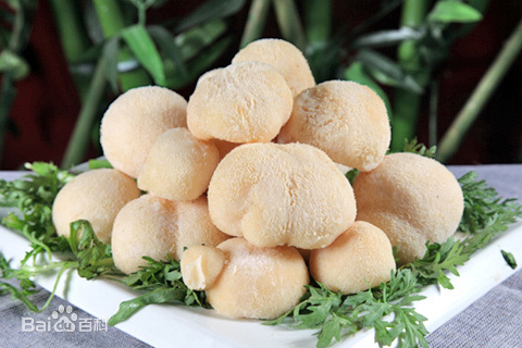 猴头菇，又叫猴头菌，只因外形酷似猴头而得名。猴蘑，猴头，猴菇，是中国传统的名贵菜肴，肉嫩、味香、鲜美可口。是四大名菜（猴头、熊掌、燕窝、鱼翅）之一。