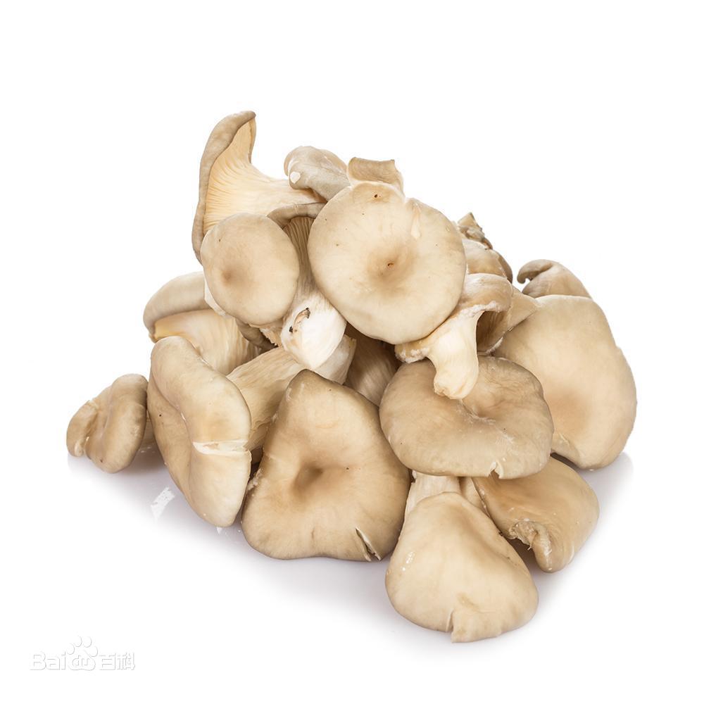 秀珍菇又名袖珍菇、环柄侧耳、黄白侧耳、环柄斗菇、姬平菇和小平菇。秀珍菇其实是凤尾菇的一个商业味比较浓厚的名称，是凤尾菇的未成熟子实体。