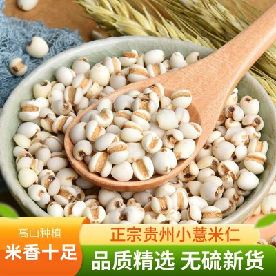 2023޲С޲׹޲»ȥʪ޲հװ500g