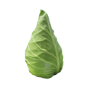 ţĸ
