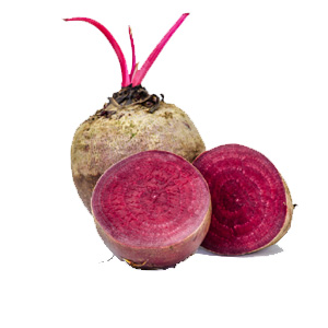 ˸